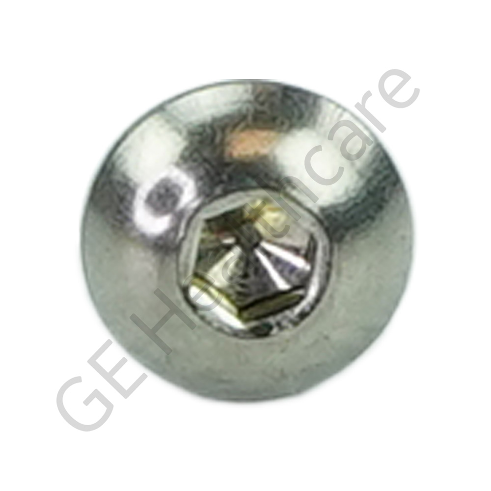 TRN SST M4X6.0 BTNHD TRN SST M4X6.0 BTNHD